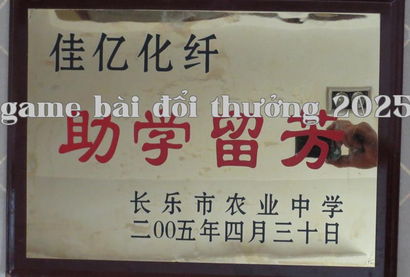 Danh hiệu 24