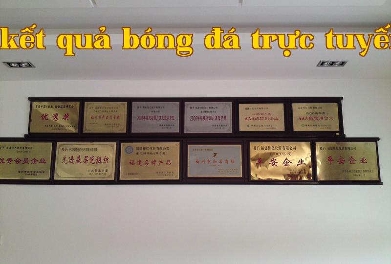 Danh hiệu 26