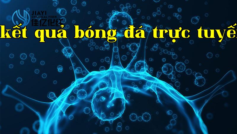 Mô tả sản phẩm 1