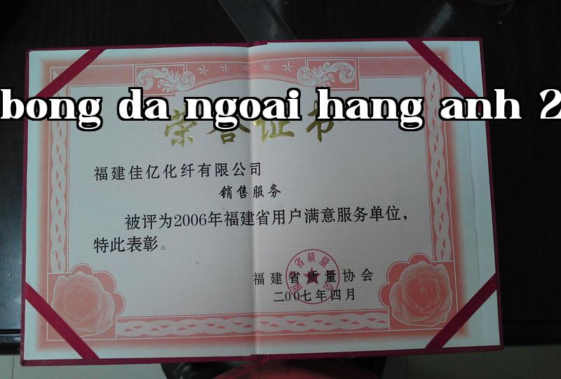 Danh hiệu 28
