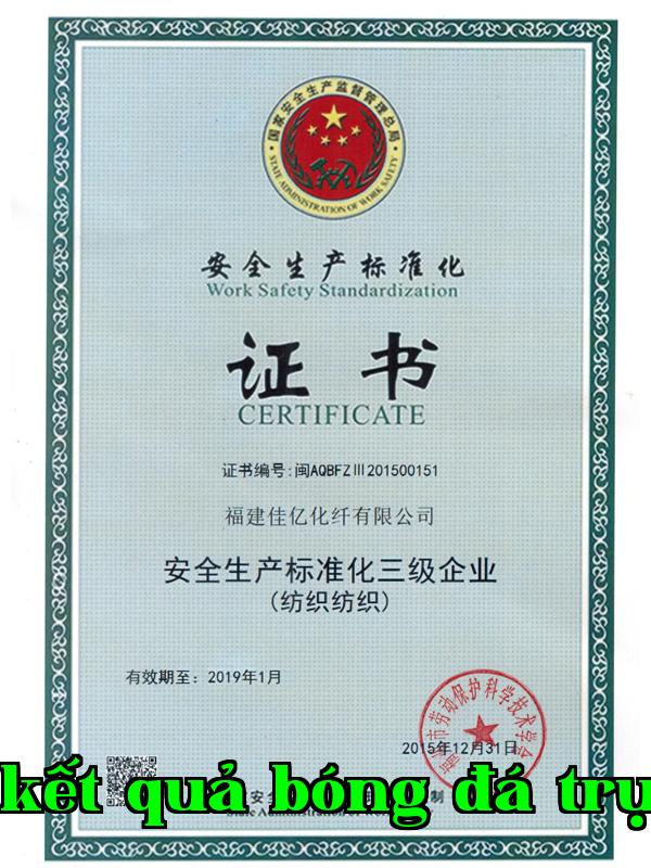 Danh hiệu 8