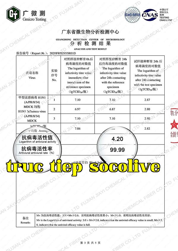 Mô tả sản phẩm 13