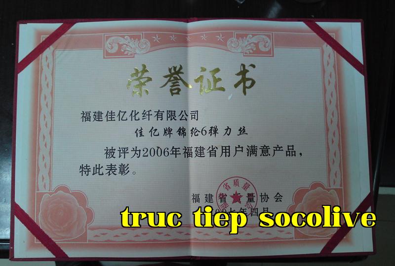 Danh hiệu 31