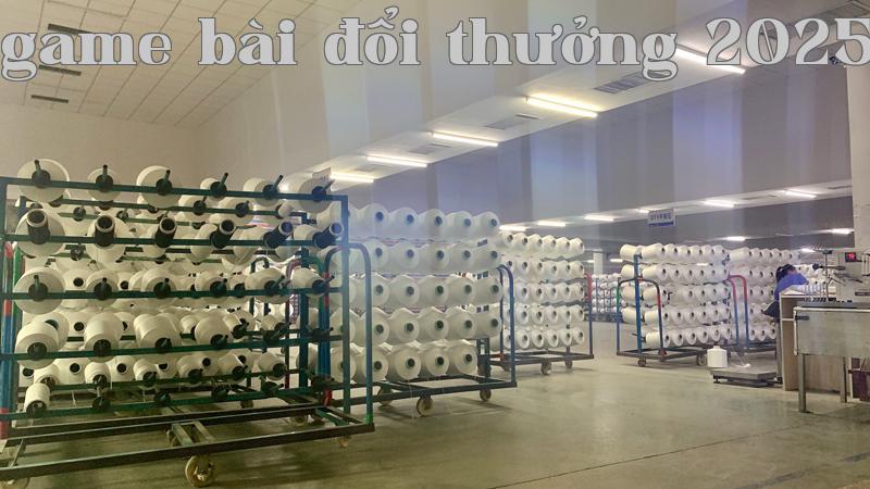 Máy kéo sợi BAMARG-3