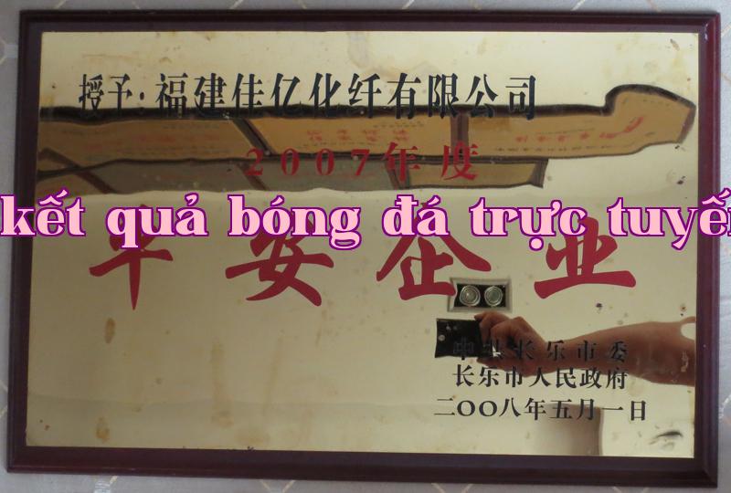 Danh hiệu 23