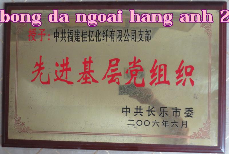 Danh hiệu 19